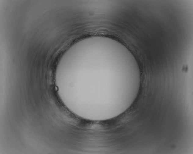 X0000113130224200909040941