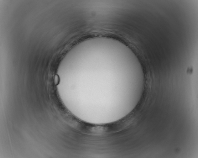 X0000113130225200909040941