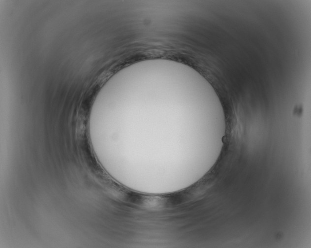 X0000113130226200909040941
