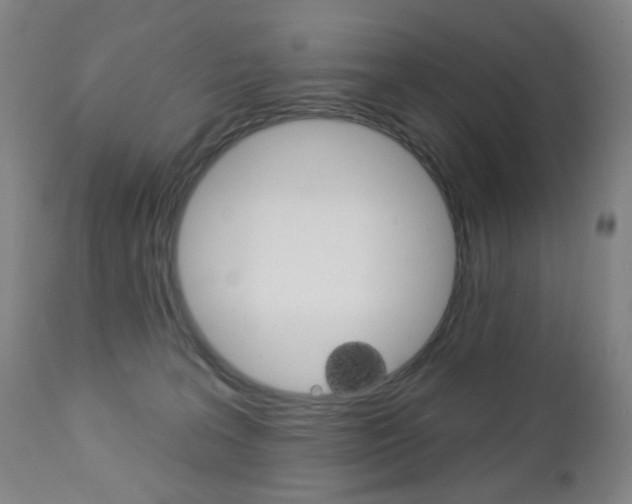 X0000113130227200909040941