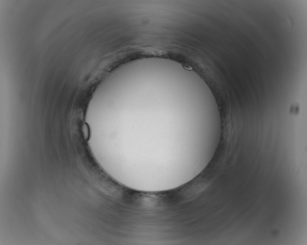 X0000113130229200909040941