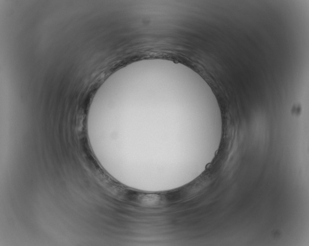 X0000113130230200909040941