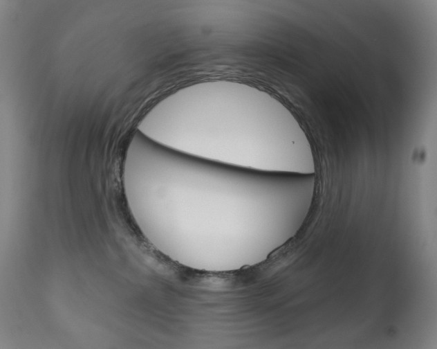 X0000113130236200909040941