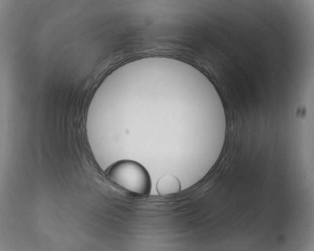 X0000113130237200909040941