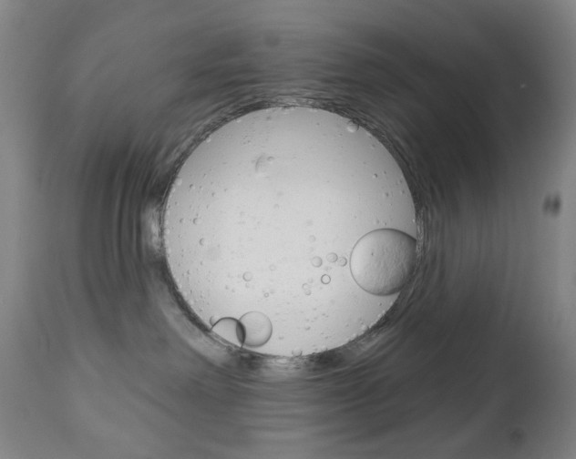X0000113130238200909040941