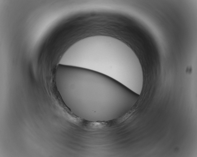 X0000113130239200909040941