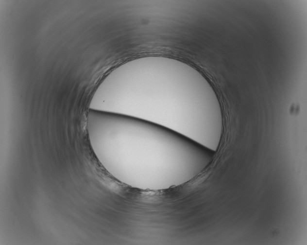 X0000113130240200909040941