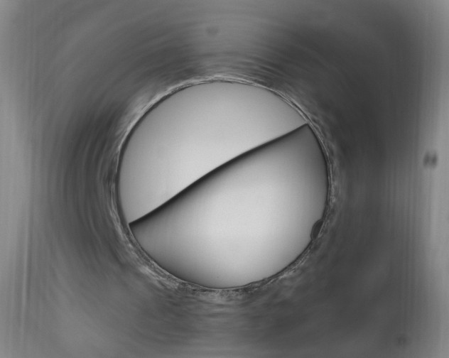 X0000113130241200909040940