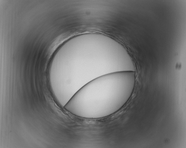 X0000113130242200909040940