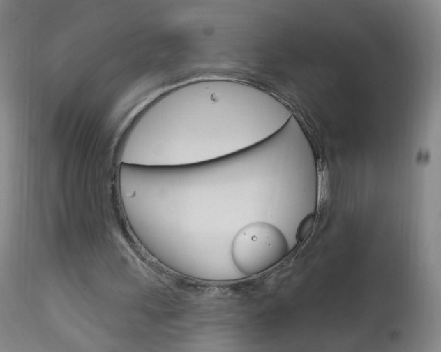 X0000113130243200909040940