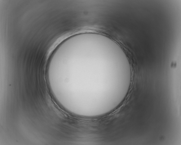 X0000113130244200909040940