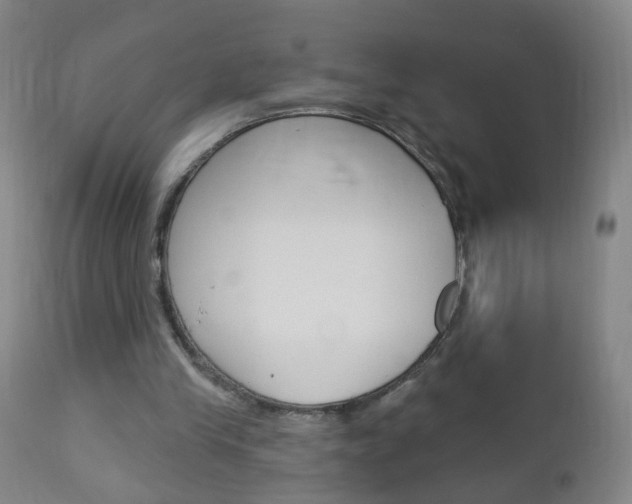 X0000113130245200909040940