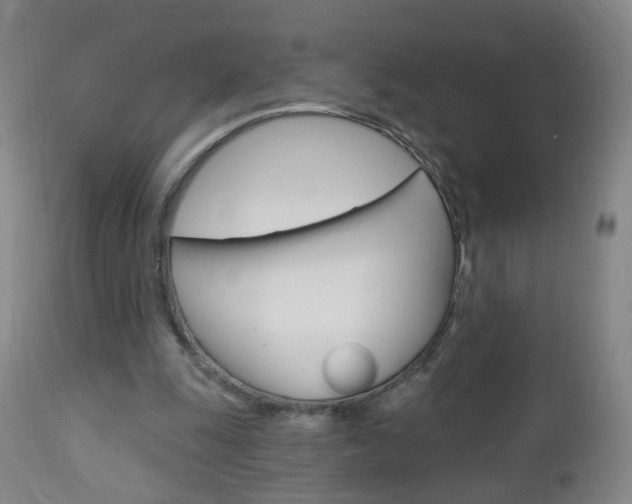 X0000113130247200909040940