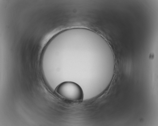X0000113130248200909040940