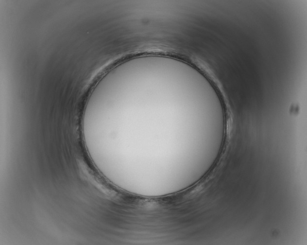 X0000113130249200909040940