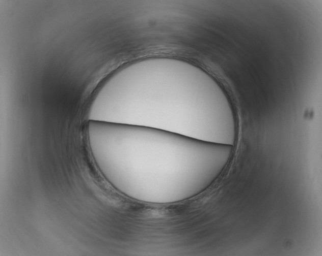 X0000113130250200909040940