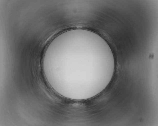 X0000113130251200909040940