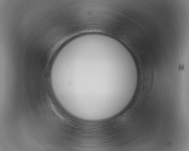 X0000113130252200909040940