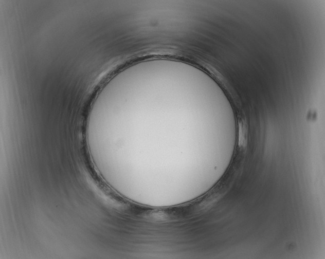 X0000113130253200909040940