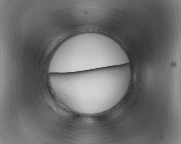 X0000113130254200909040940