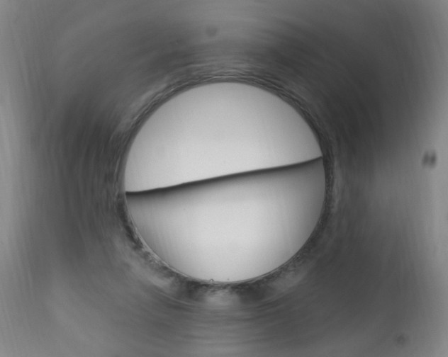 X0000113130258200909040940