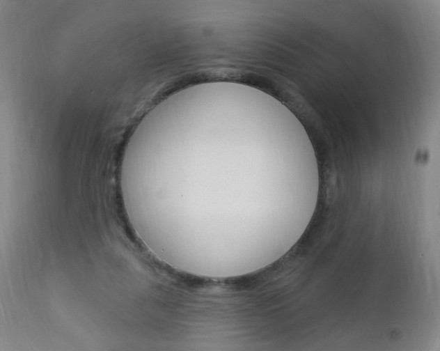 X0000113130259200909040940