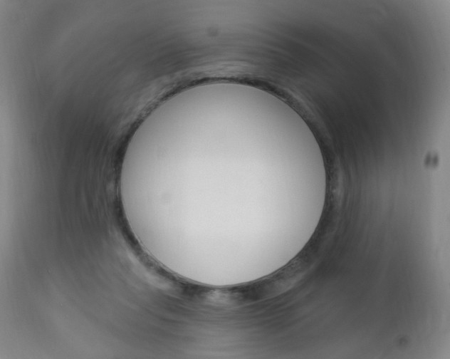 X0000113130261200909040940