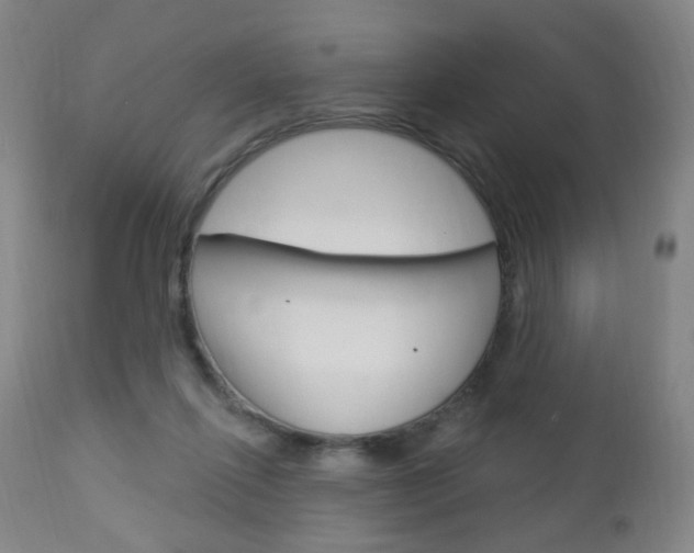 X0000113130262200909040940