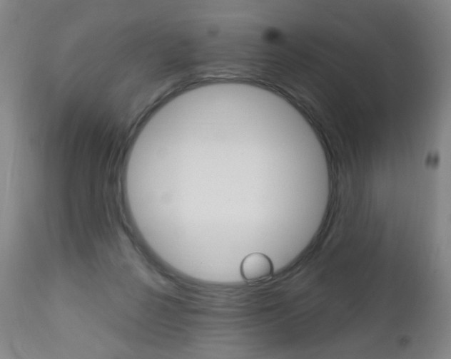 X0000113130264200909040940