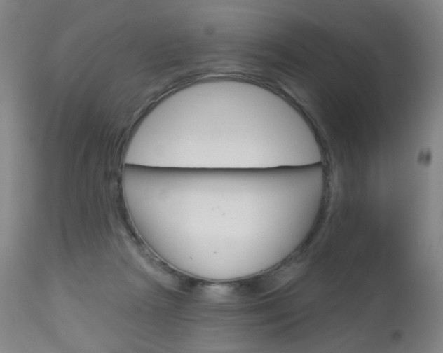 X0000113130265200909040940