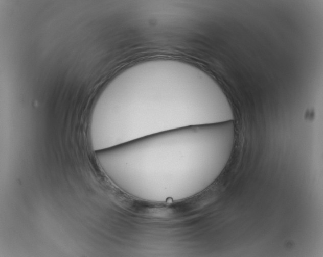 X0000113130266200909040940