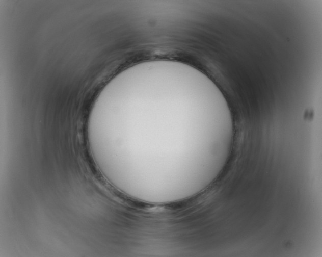 X0000113130269200909040940