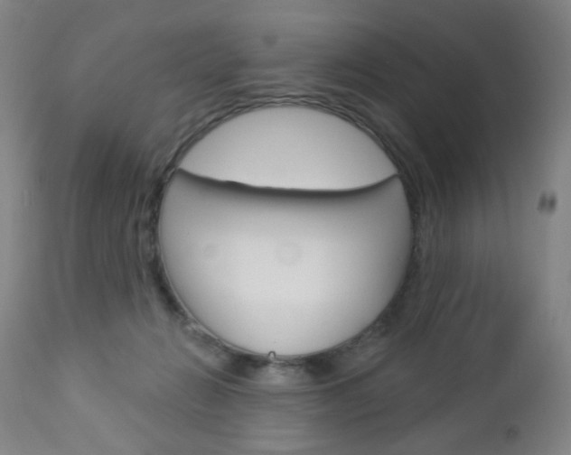X0000113130270200909040940