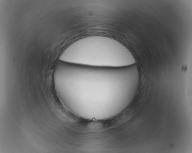 X0000113130271200909040940