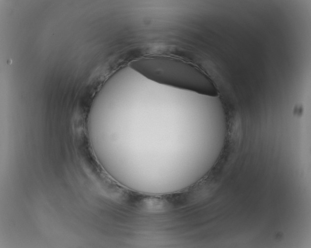 X0000113130272200909040940