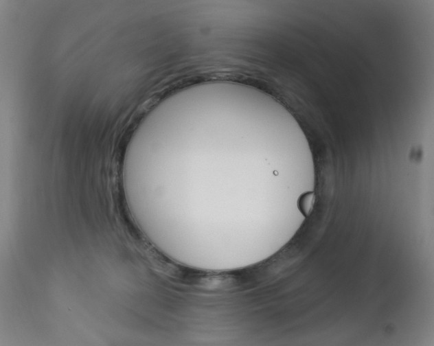 X0000113130274200909040940