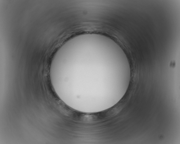 X0000113130277200909040940