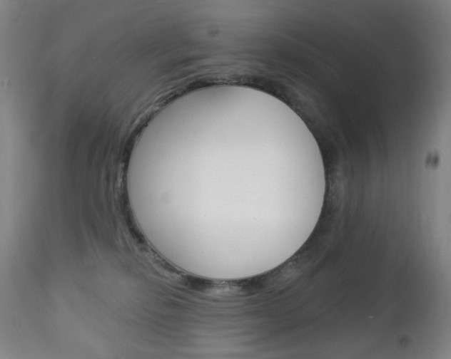 X0000113130278200909040940