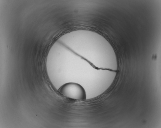 X0000113130280200909040941