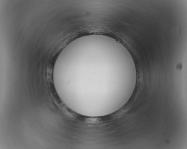 X0000113130281200909040941