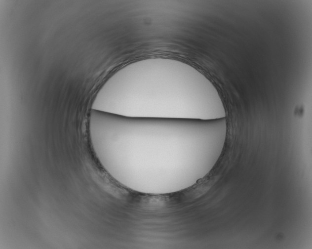 X0000113130282200909040941