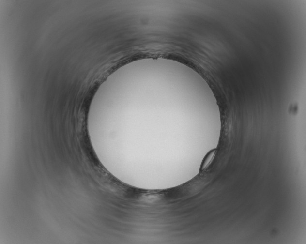 X0000113130283200909040941