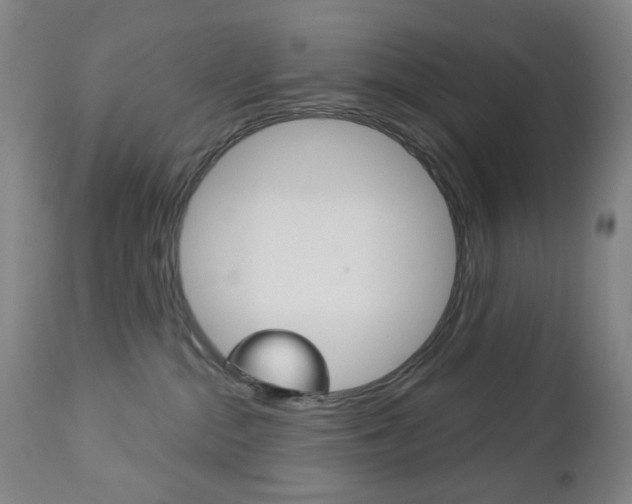 X0000113130284200909040941