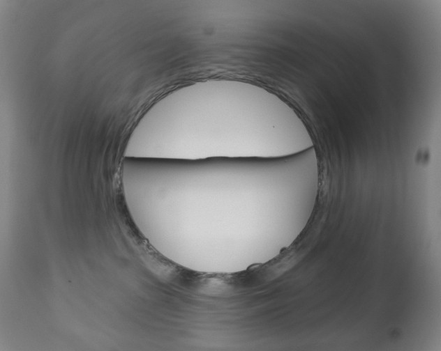 X0000113130285200909040941