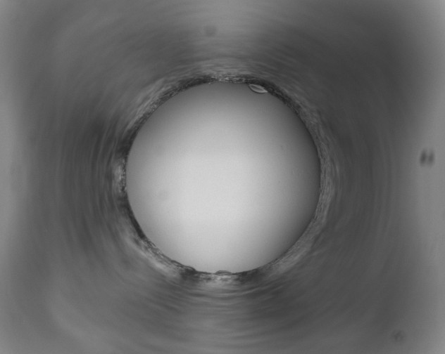 X0000113130288200909040941