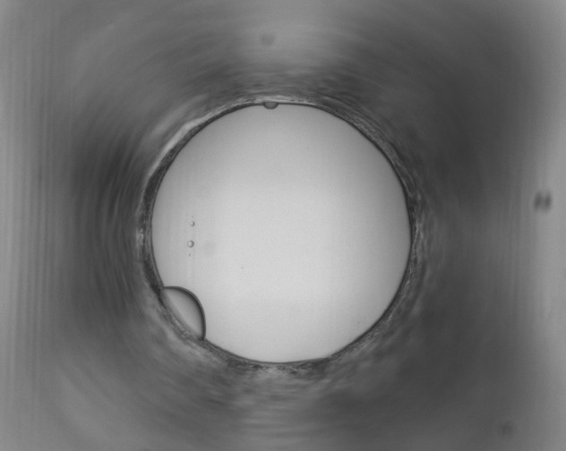 X0000113130290200909040940