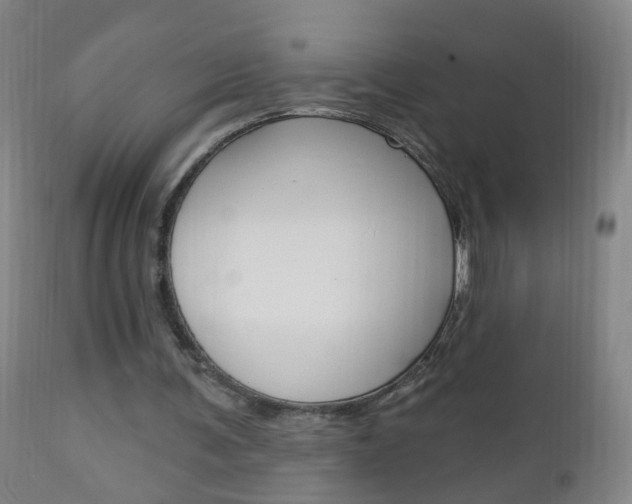 X0000113130291200909040940