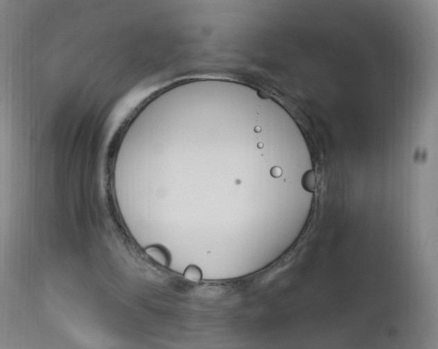 X0000113130294200909040940