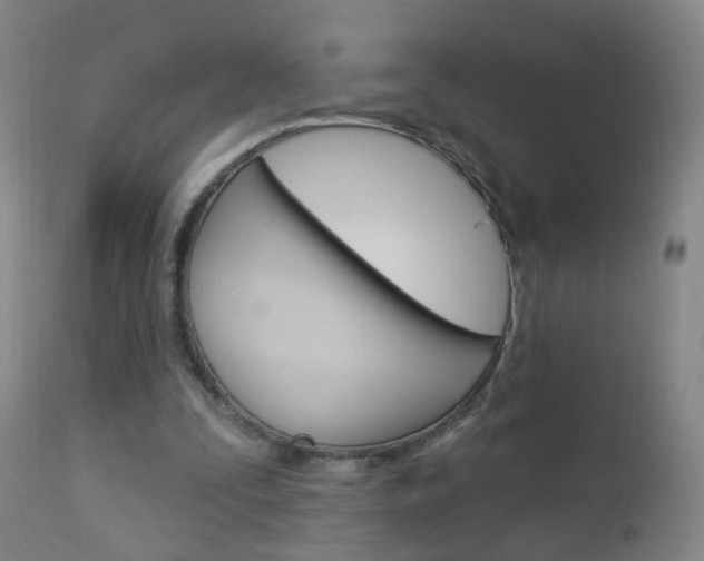 X0000113130295200909040940