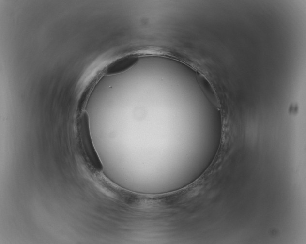 X0000113130296200909040940
